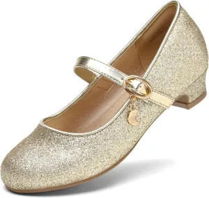 DREAM PAIRS Girls Mary Jane Low Heel Princess Flower Wedding Party Pump Dress Shoes