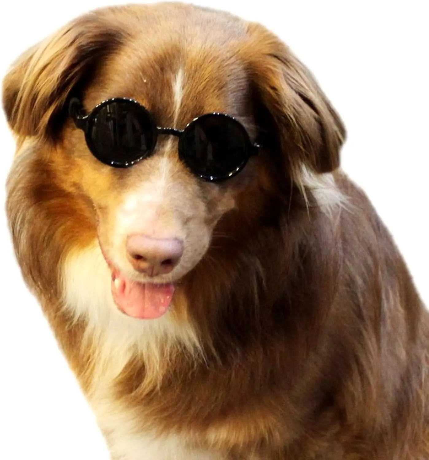 G001 Dog Cat Pet Costume Prop Round Sunglasses Medium Breeds 20-40 lbs (Black   Black)