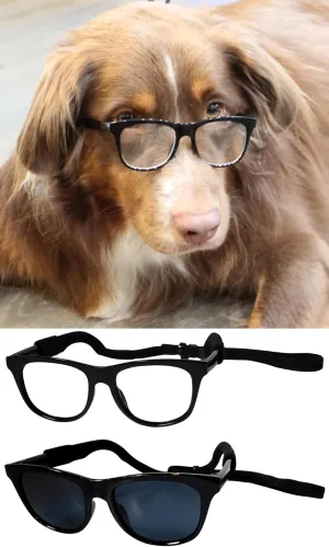 G006 Dog Pet 80s Costume Sunglasses Prop Photoshoot Medium Breeds 20-40 lbs (2-Pack Black  Black-Clear Lens)