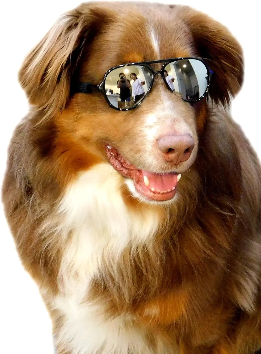 G010 Dog Pet Costume Prop Aviator Sunglasses Medium Breeds 20-40 lbs (2-Pack Black Black-Mirror)