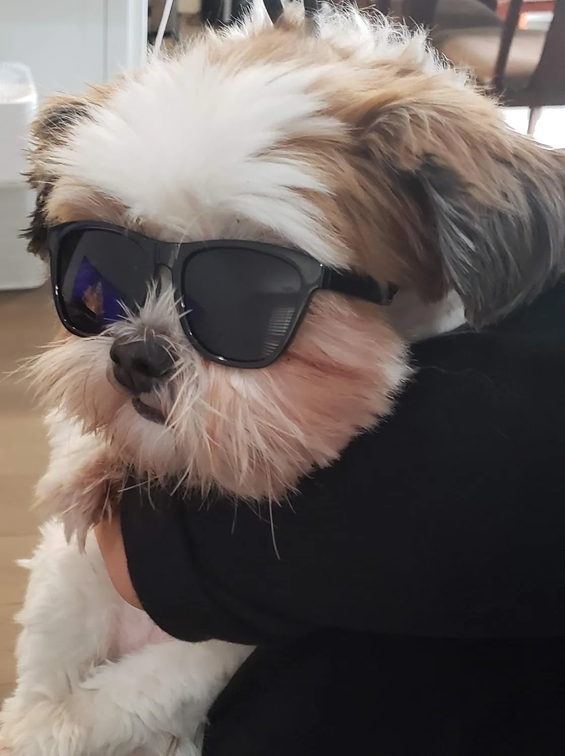 G014 Dog Cat Pet 80s Sunglasses Goggles for Small Breeds up to 15lbs (2-Pack Black  Black-Mirror)