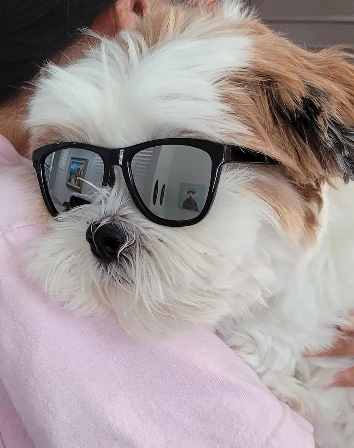 G014 Dog Cat Pet 80s Sunglasses Goggles for Small Breeds up to 15lbs (2-Pack Black  Black-Mirror)