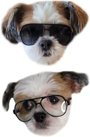 G029 Dog Cat Pet Aviator Pilot Sunglasses Glasses for Small Breeds up to 15lbs (2-Pack Black   Black-Clear Lens)