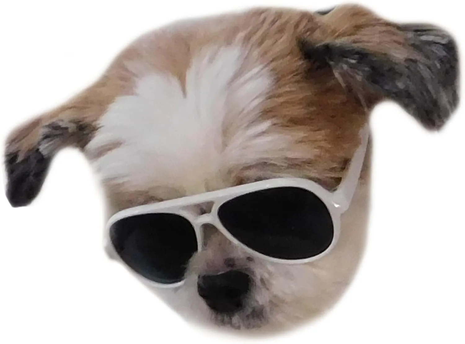 G029 Dog Cat Pet Aviator Pilot Sunglasses Glasses for Small Breeds up to 15lbs (2-Pack Black   White)