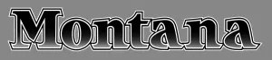 Montana 1 Rv Trailer Keystone Logo Decal Graphic -951-2